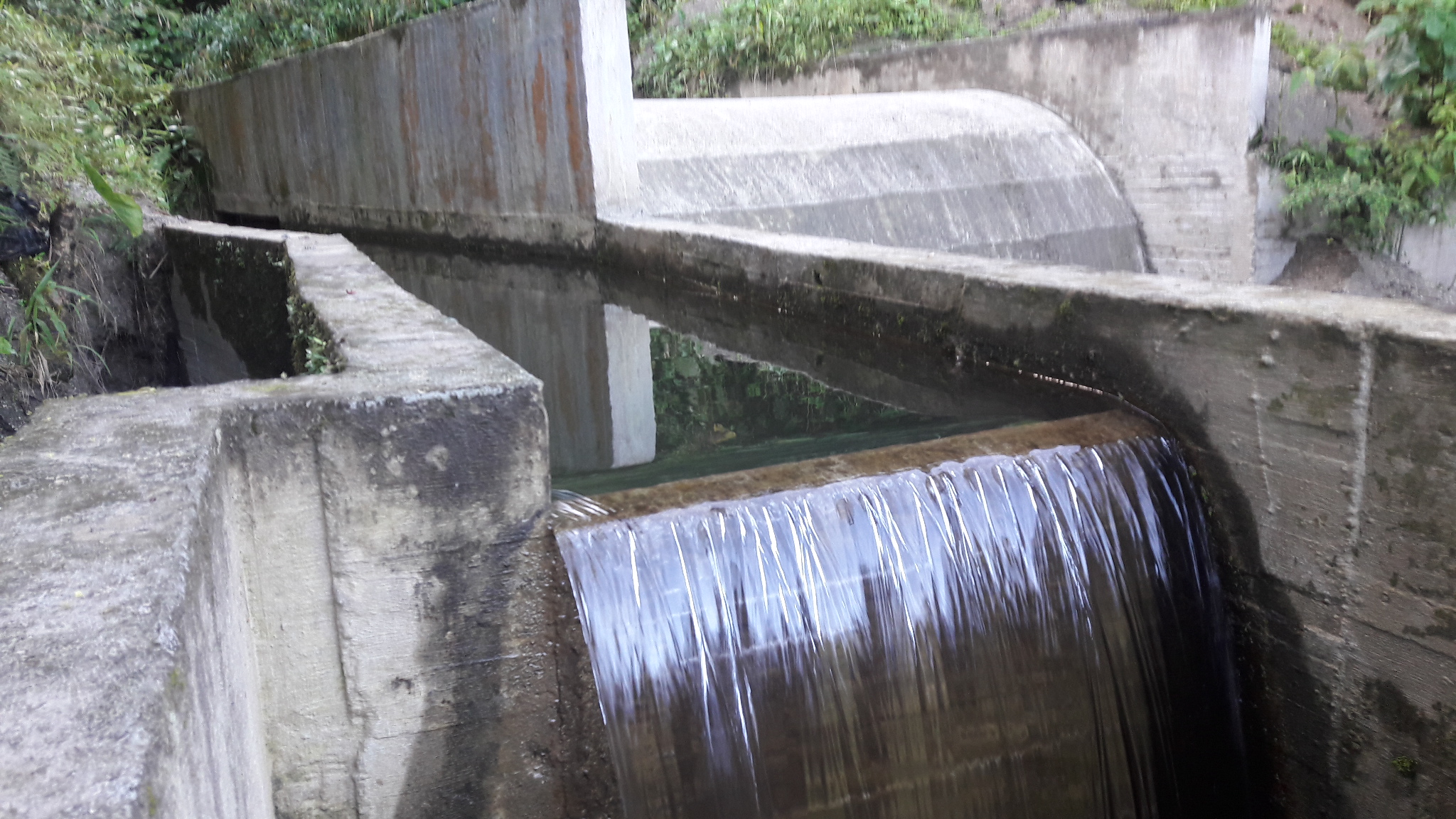 Información acerca de horarios de atención en navidad